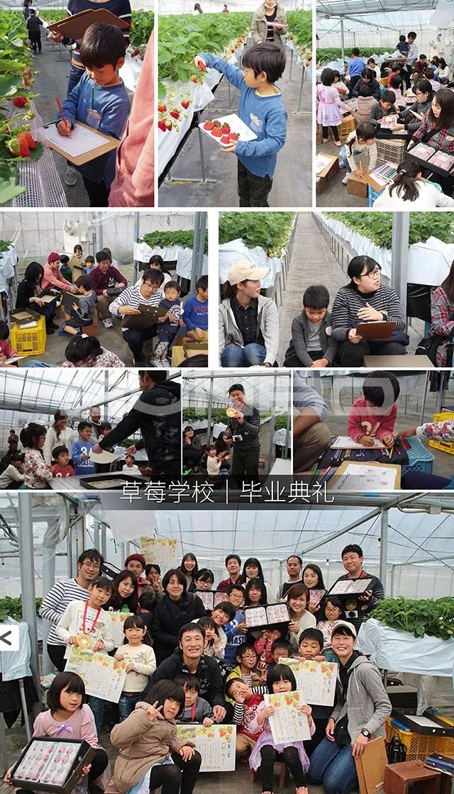 日本mokumoku猪主题农场乐园