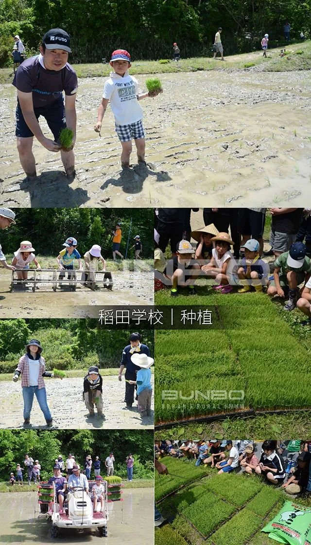 日本mokumoku猪主题农场乐园