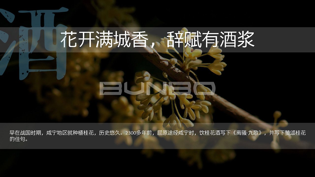 咸宁历史文化脉络研究