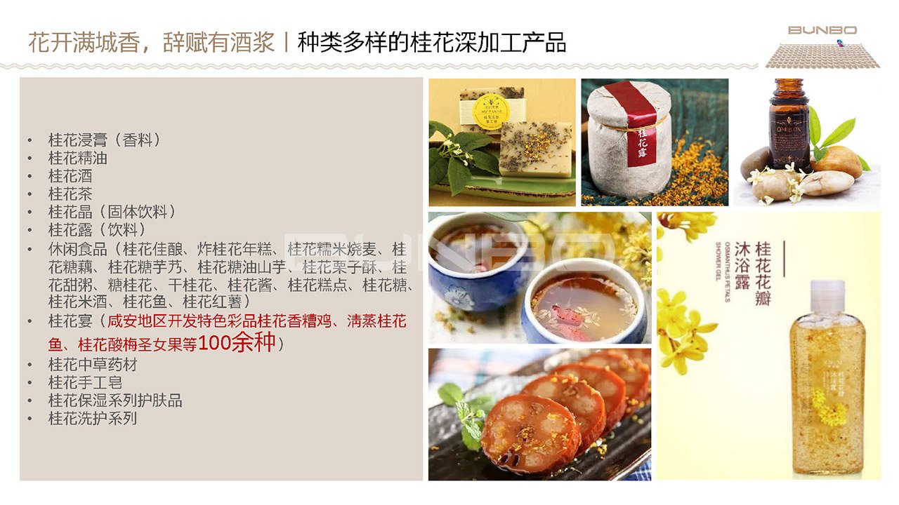 《绿地咸宁梓湾项目概念策划》方案（2019）