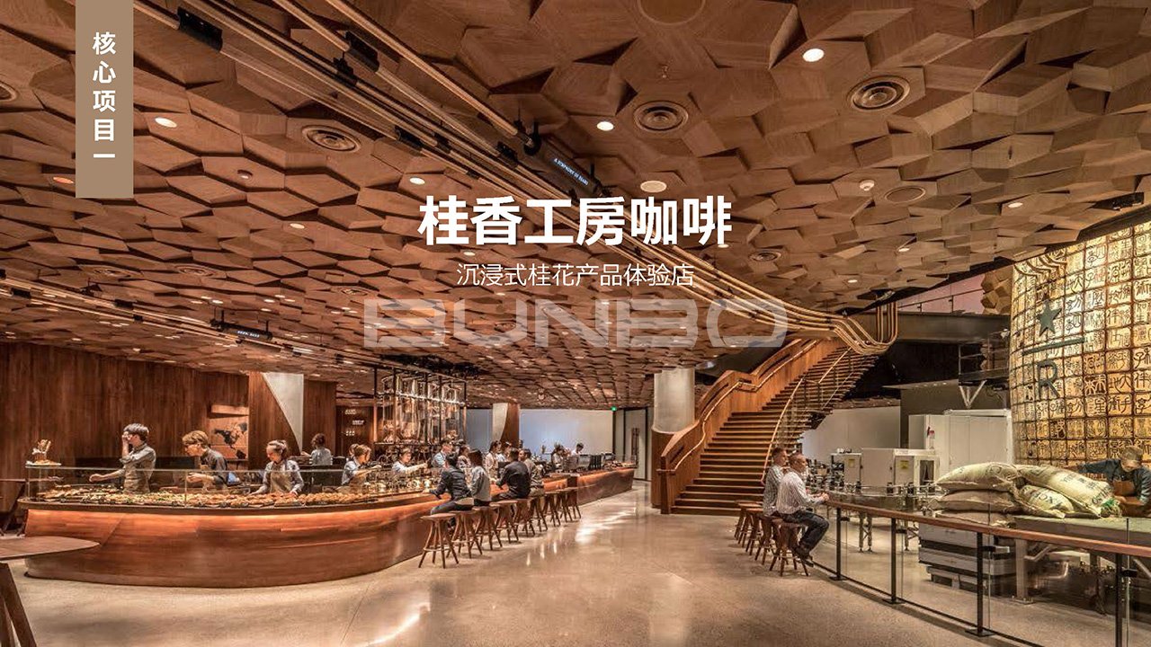 绿地咸宁梓湾国际健康城概念方案