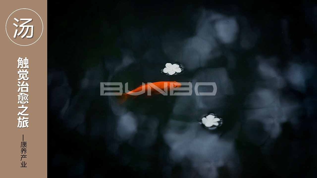 绿地小镇项目前期策划与规划方案