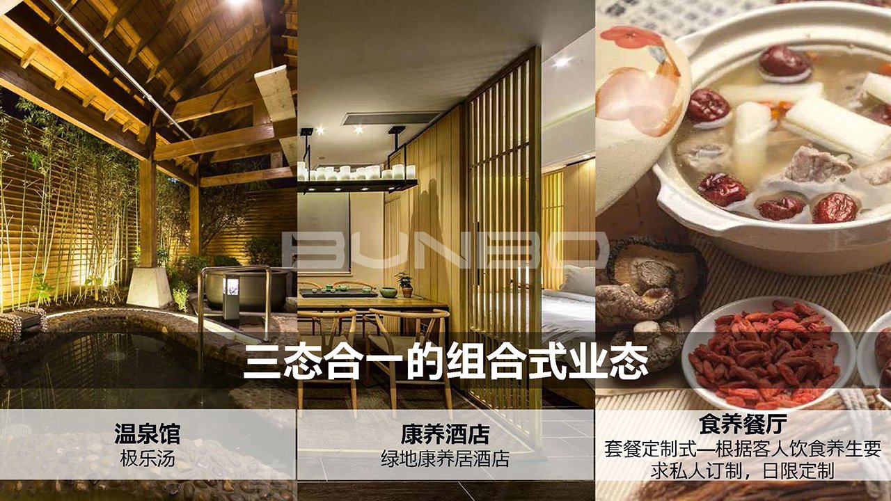 绿地咸宁梓湾国际健康城概念方案