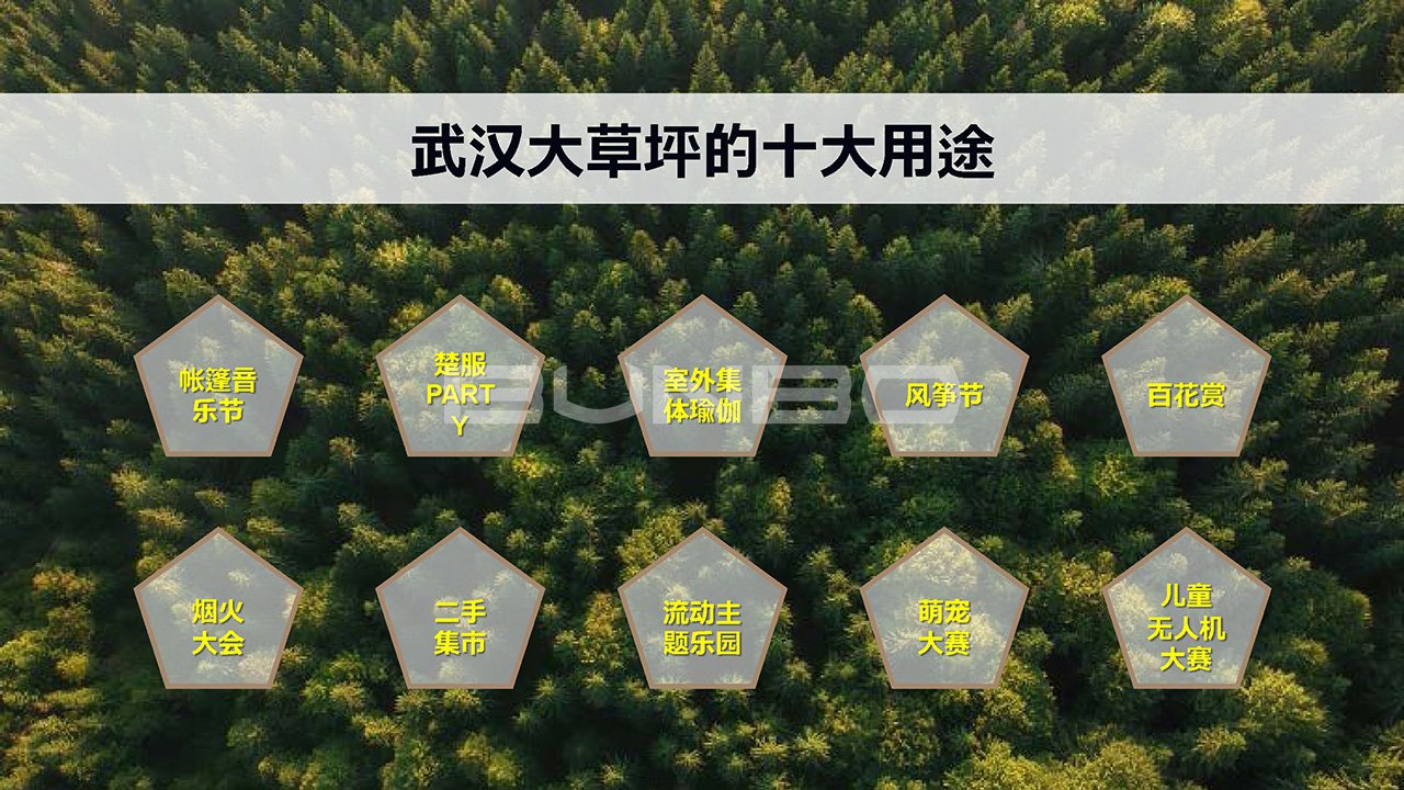 绿地小镇项目前期策划与规划方案