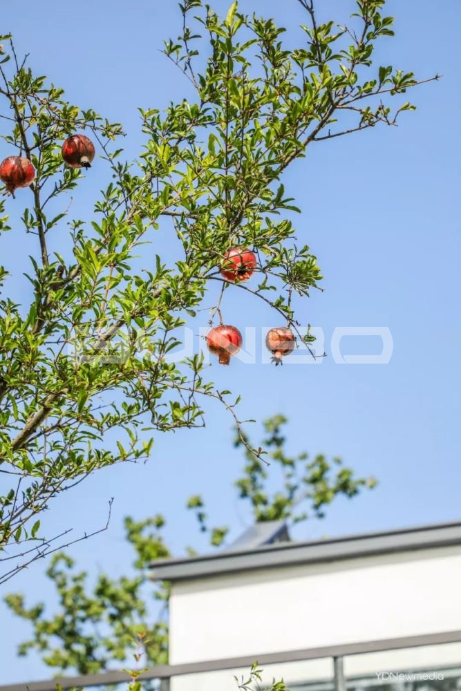 咸宁梓山湖:绿地梓湾国际健康城