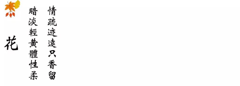 咸宁梓山湖:绿地梓湾国际健康城