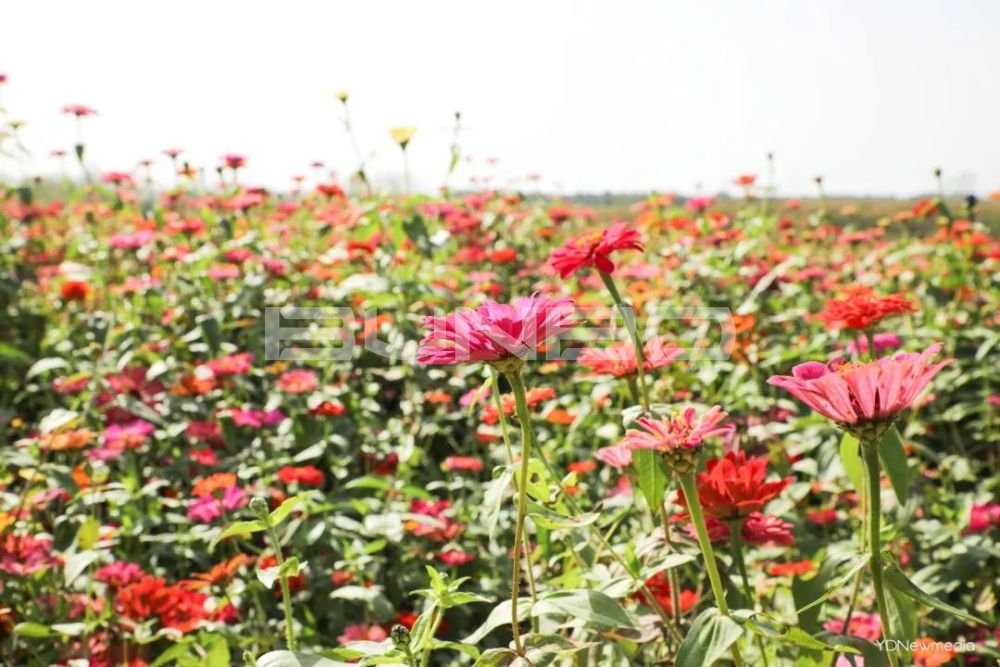 咸宁梓山湖:绿地梓湾国际健康城