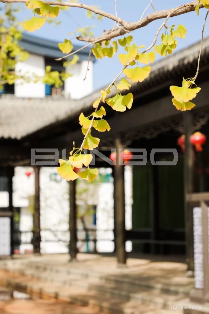 咸宁梓山湖:绿地梓湾国际健康城