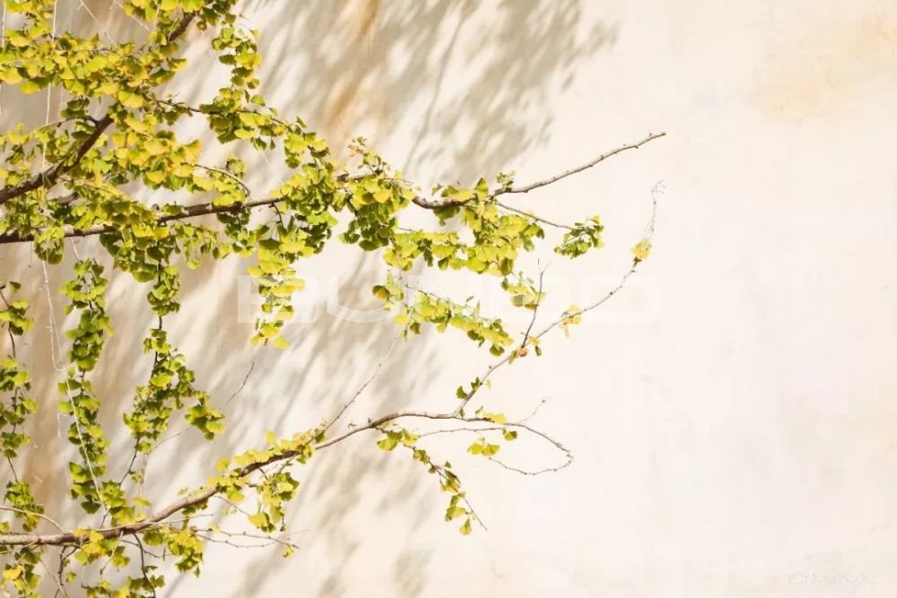 咸宁梓山湖:绿地梓湾国际健康城