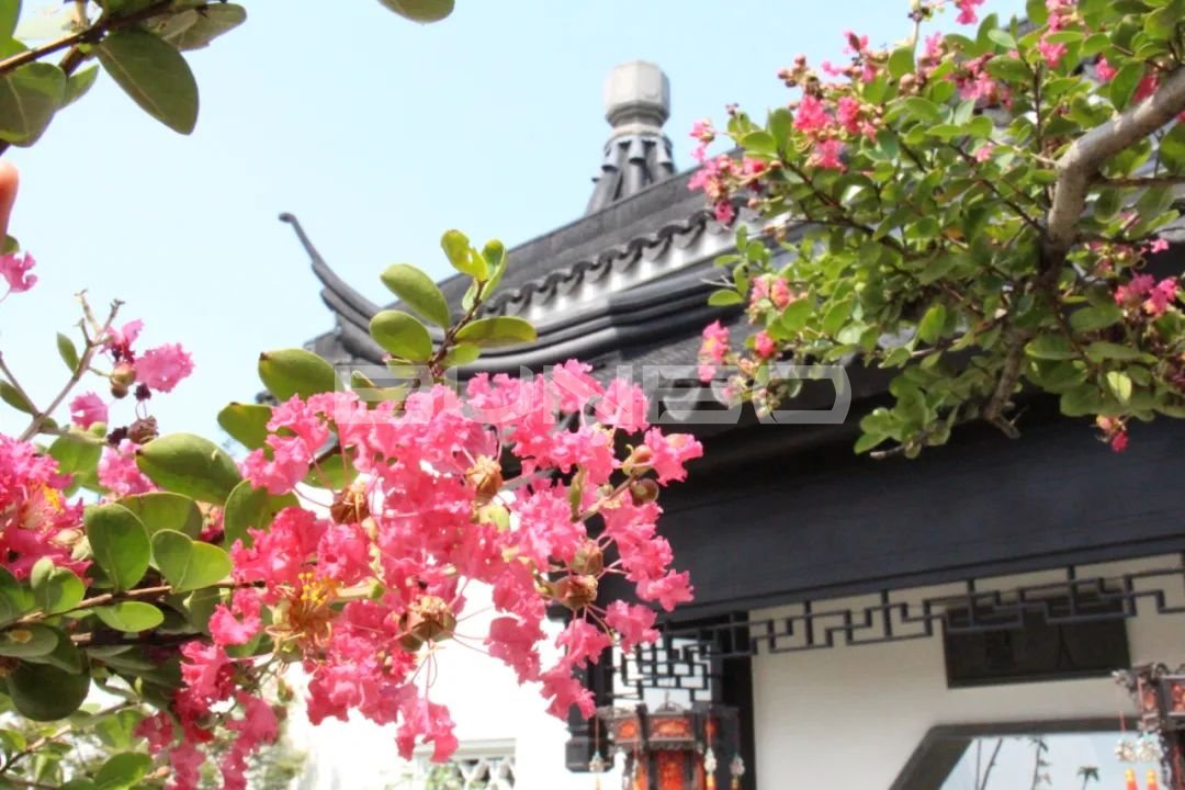 中式全院实景照片