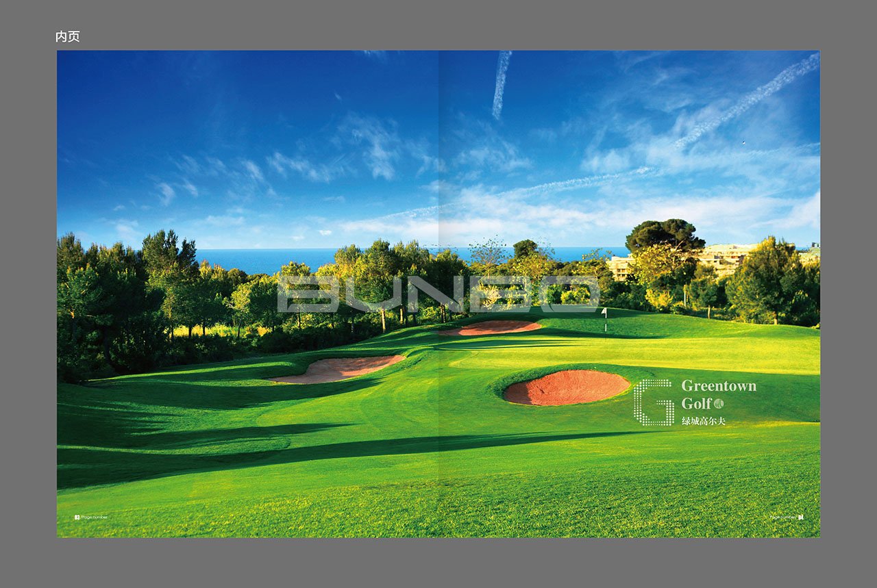 高尔夫品牌手册设计