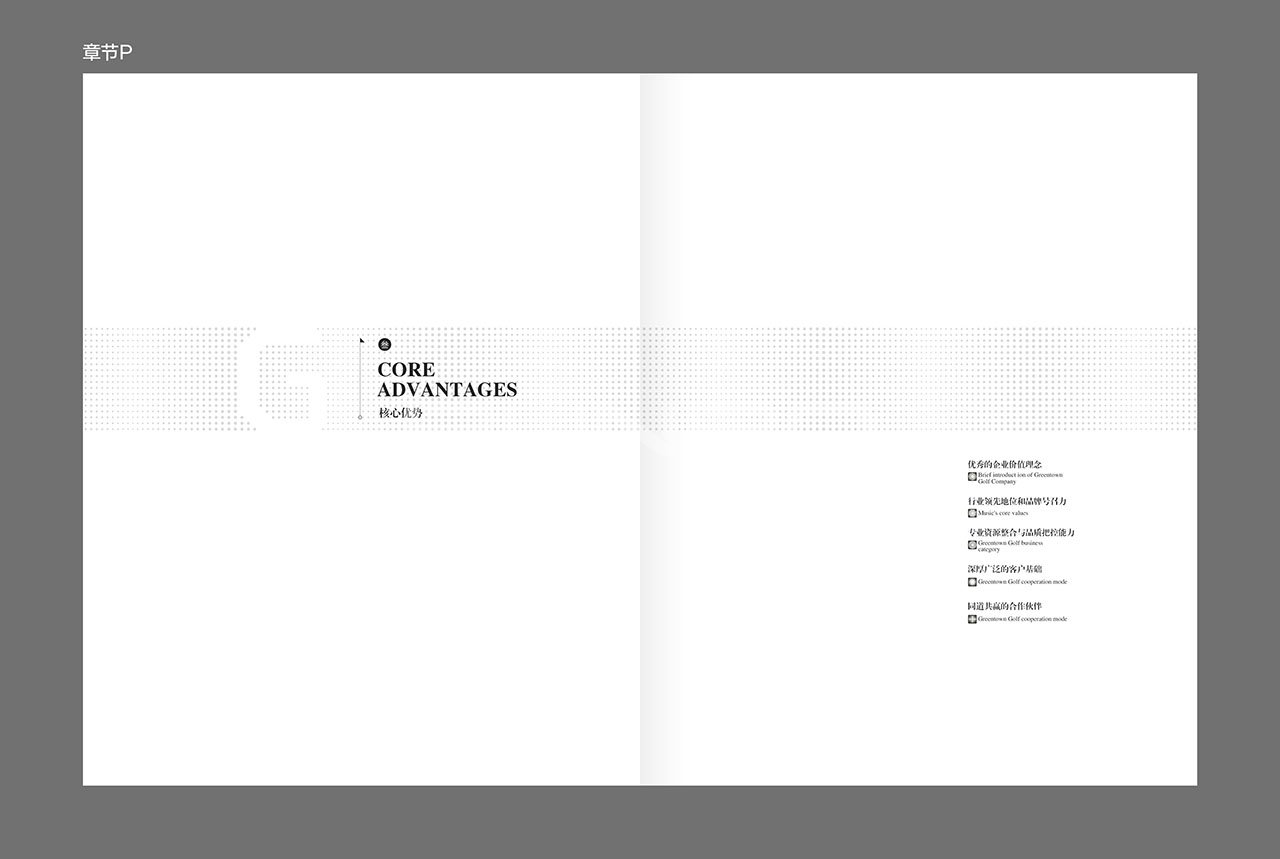 高尔夫品牌手册设计