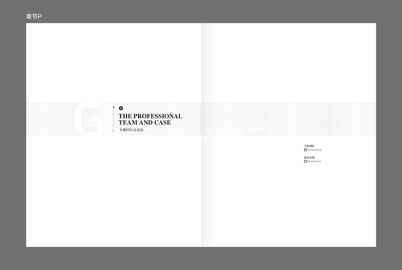 高尔夫品牌手册设计