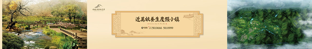 绿城小镇品牌包装