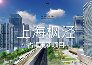 上海枫泾古镇复兴项目