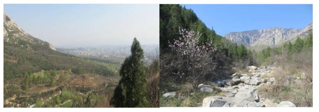 叠石溪实景 叠石溪实景