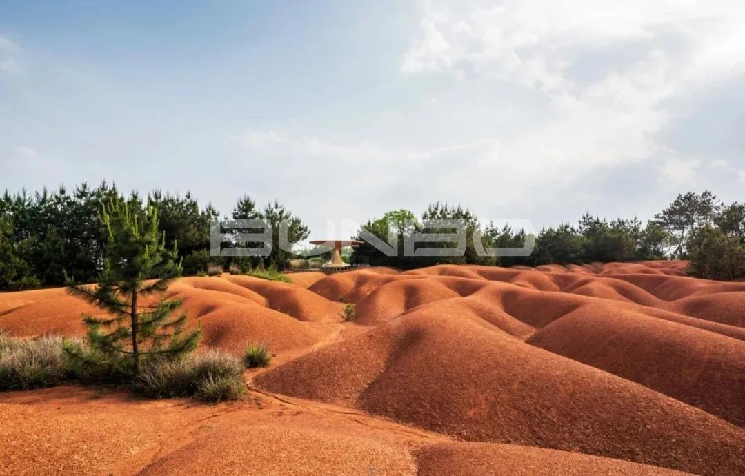 安南小镇红土公园