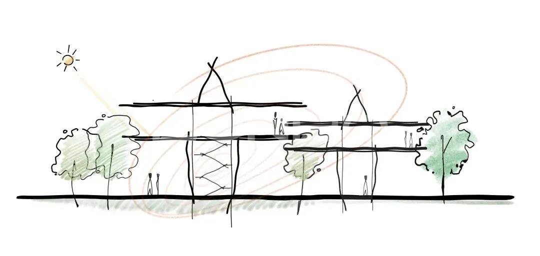 建筑概念—立于树梢之上