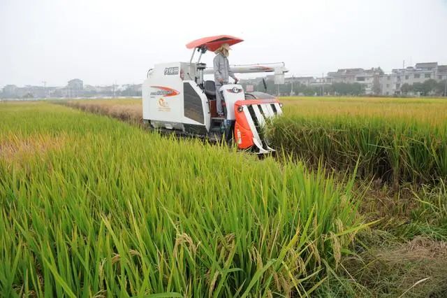 万年上山文化村绿城桃源十里