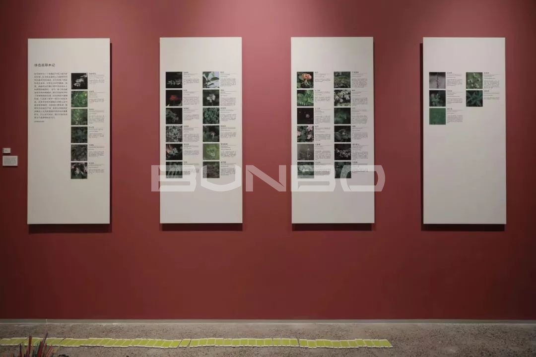 泰顺徐岙底古村落乡村艺术展