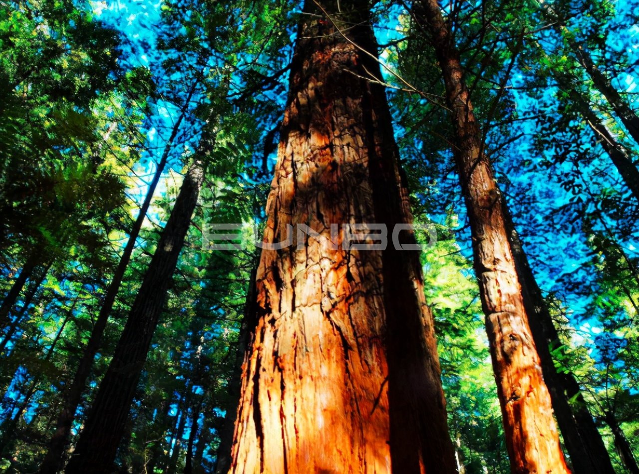 红木家具行业的衰落 (2) 红木家具行业的衰落 (2)