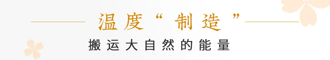 绿城现代建筑的保湿隔热与热能系统