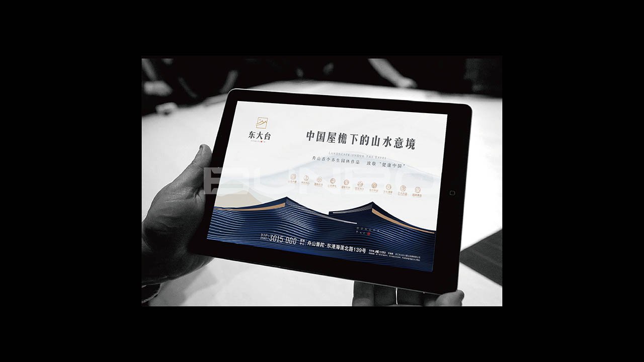 舟山东大台康养项目品牌形象