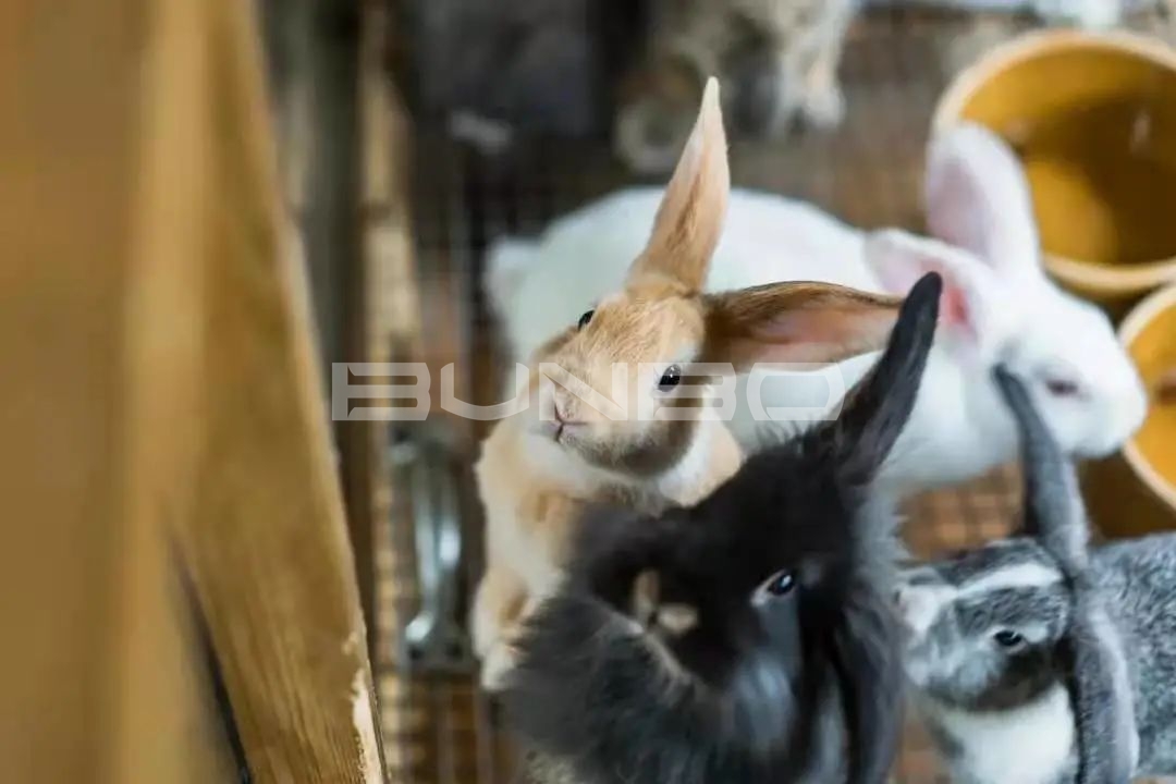 欢喜欢喜乐园-融创莫干溪谷