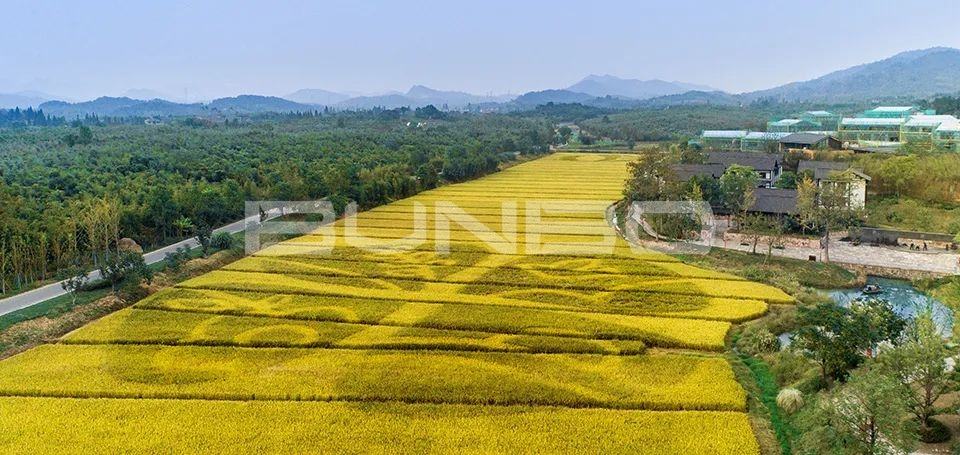 欢喜欢喜乐园-融创莫干溪谷