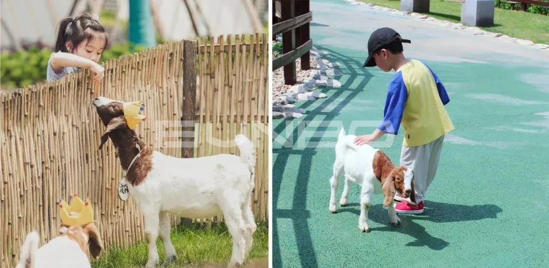 欢喜欢喜乐园-融创莫干溪谷