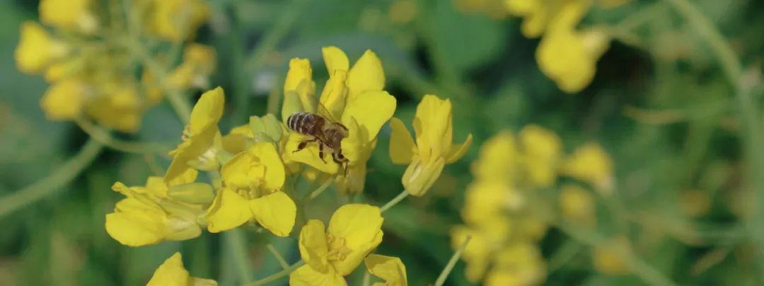 欢喜欢喜乐园-融创莫干溪谷