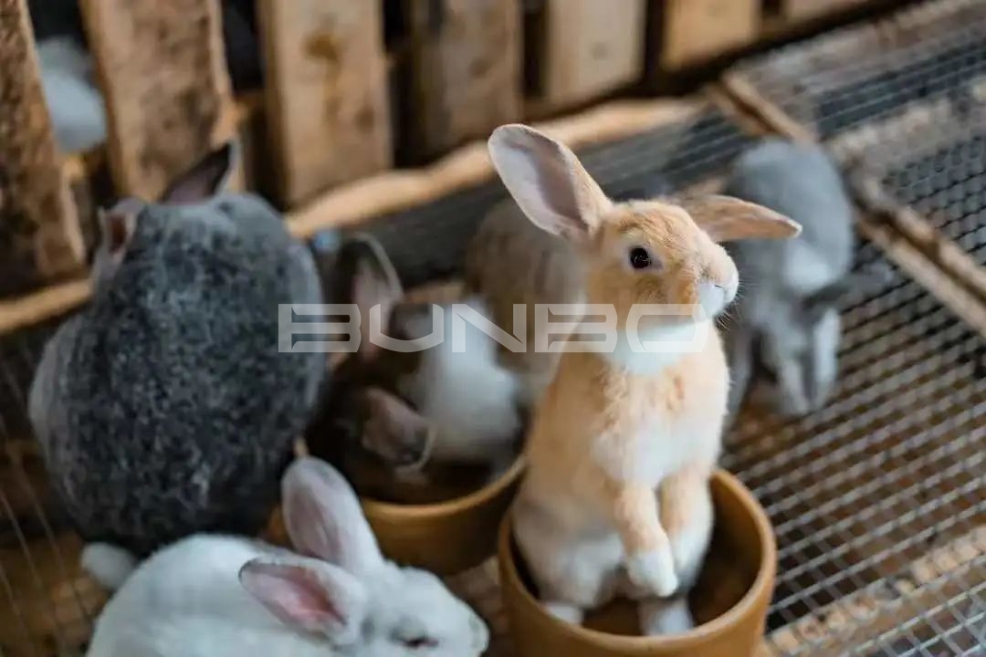 欢喜欢喜乐园-融创莫干溪谷