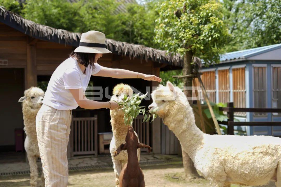 欢喜欢喜乐园-融创莫干溪谷