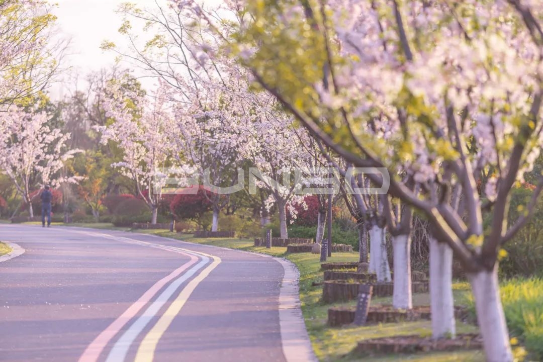 欢喜欢喜乐园-融创莫干溪谷