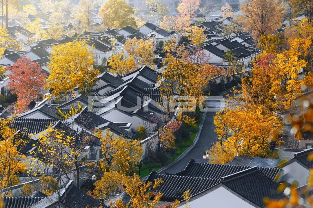 理想教育小镇安吉天使小镇