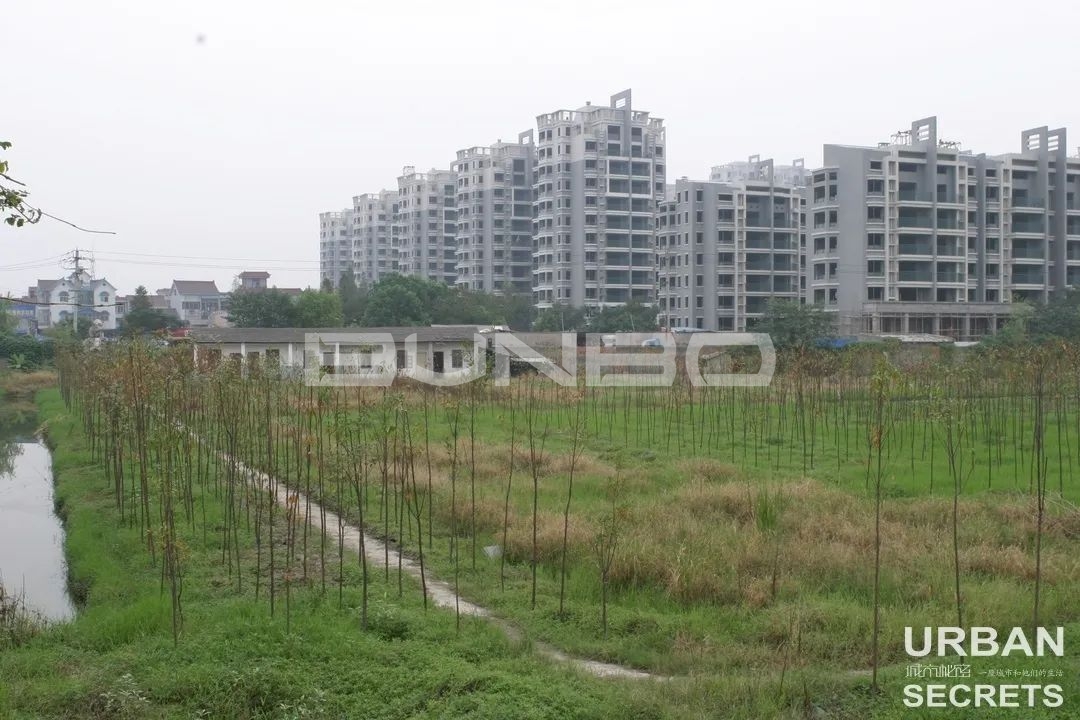 古墩路历史、规划与发展故事(城市秘密蓝城云和里专辑)