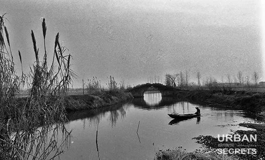 杭州三墩发展历史@城市秘密云和里