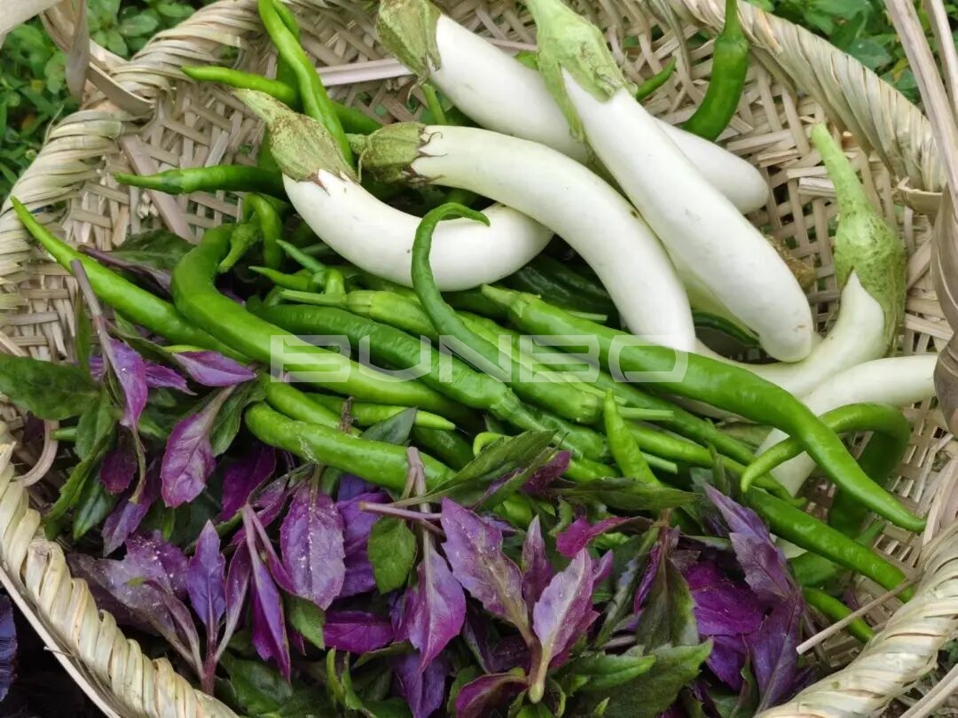 农库作物公园自然生长食材