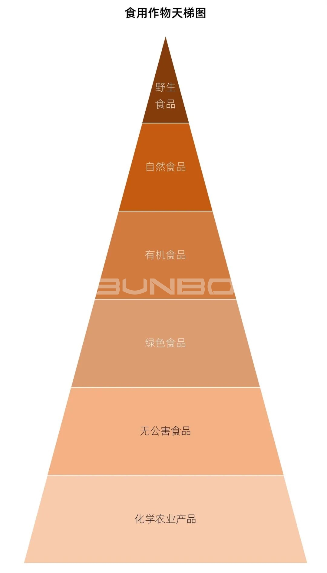 食用作物天梯图