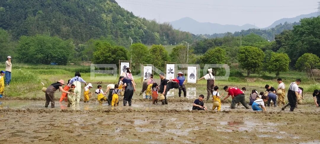 稻麦研学第一课“春耕大典”