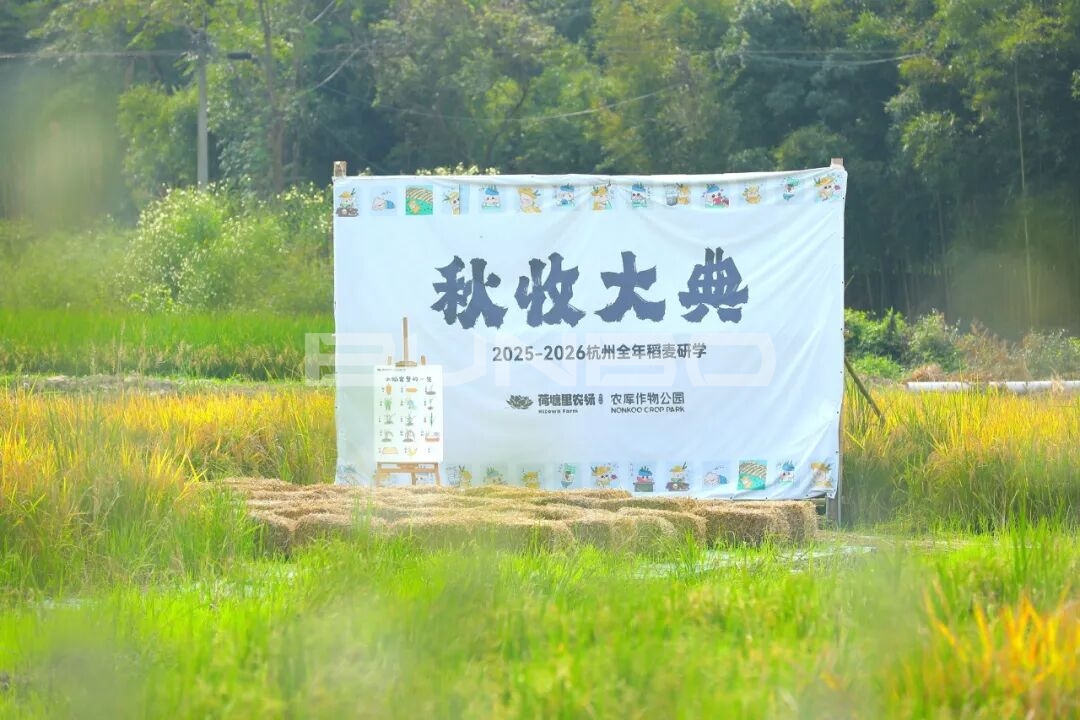 稻麦研学之秋收大典