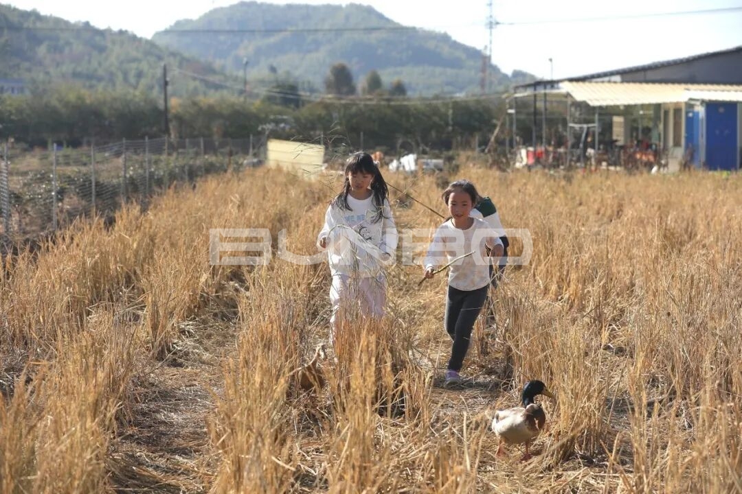 杭州农库草垛乐园