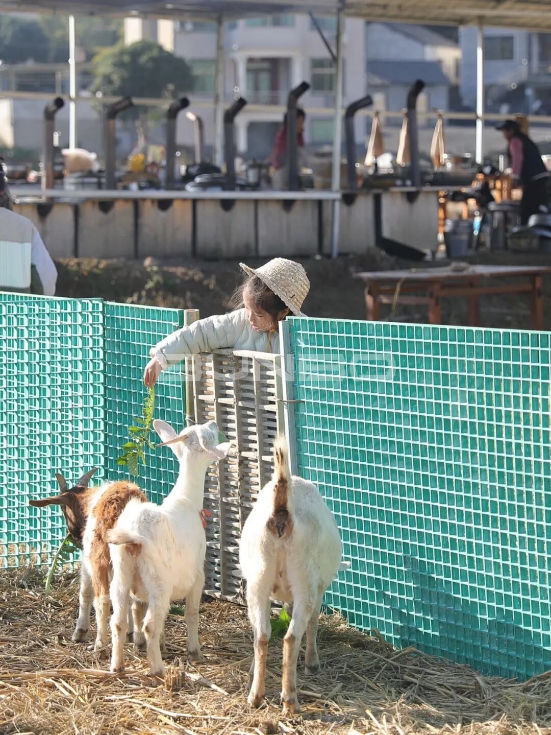 杭州农库草垛乐园