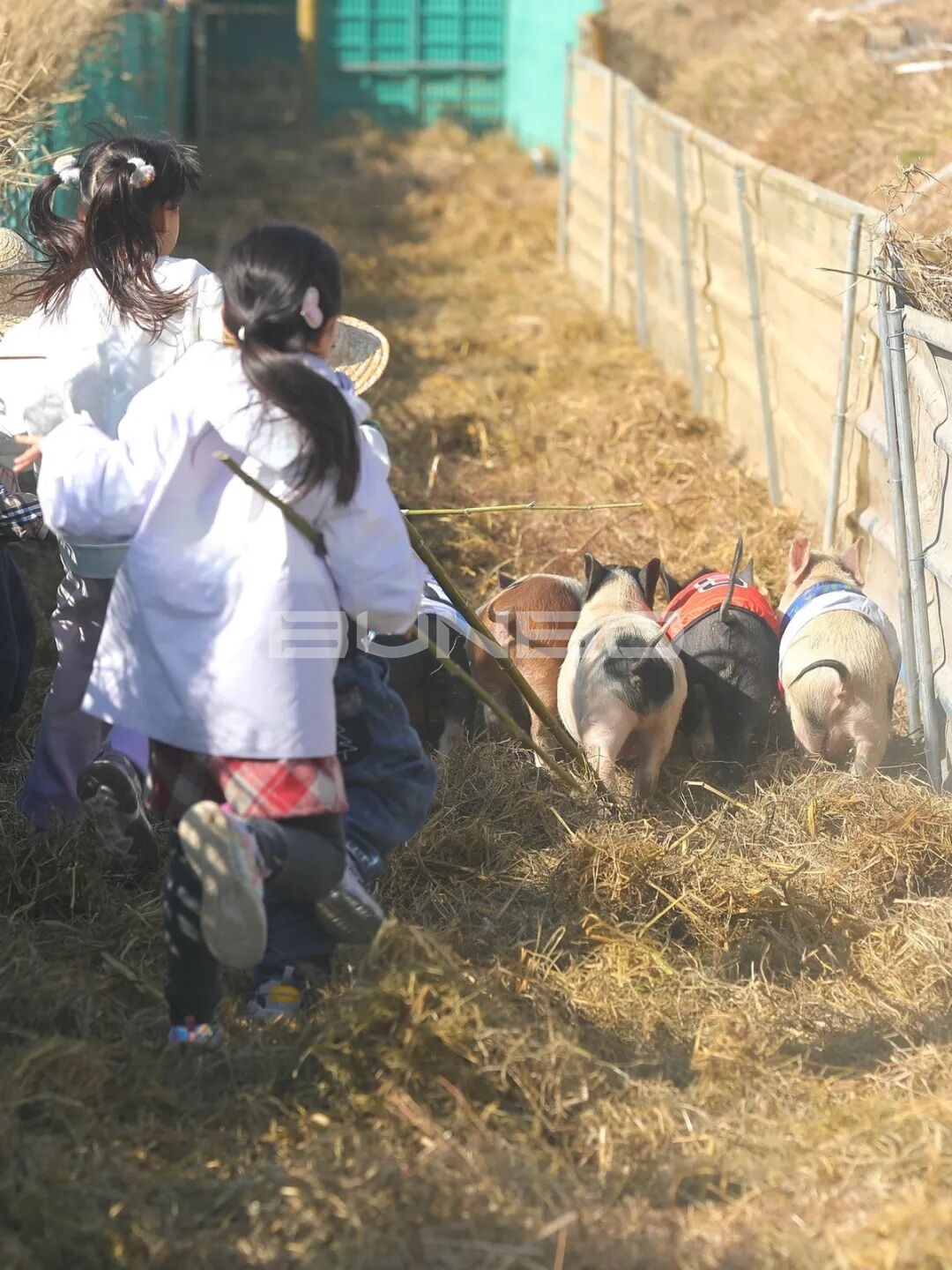 杭州农库草垛乐园
