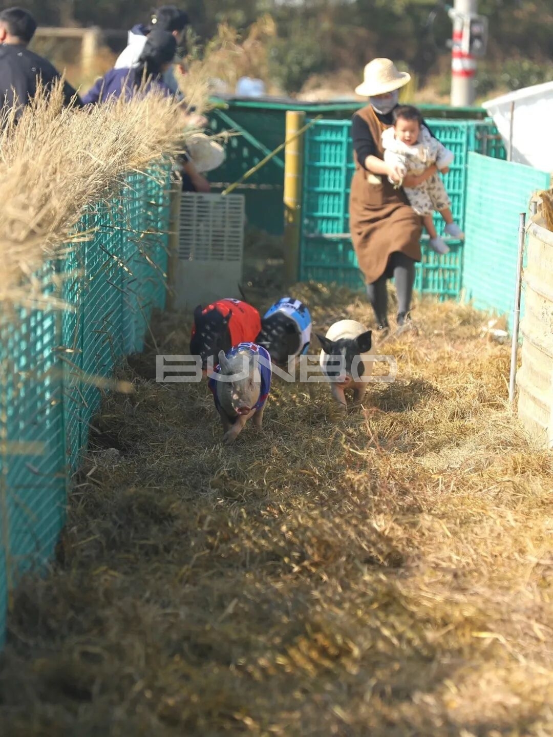 杭州农库草垛乐园