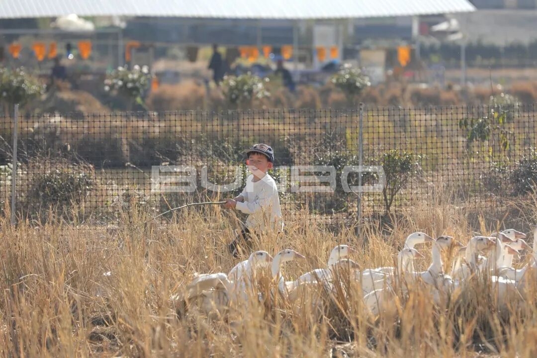 杭州农库草垛乐园