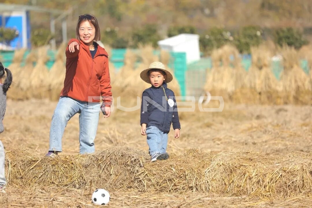 杭州农库草垛乐园