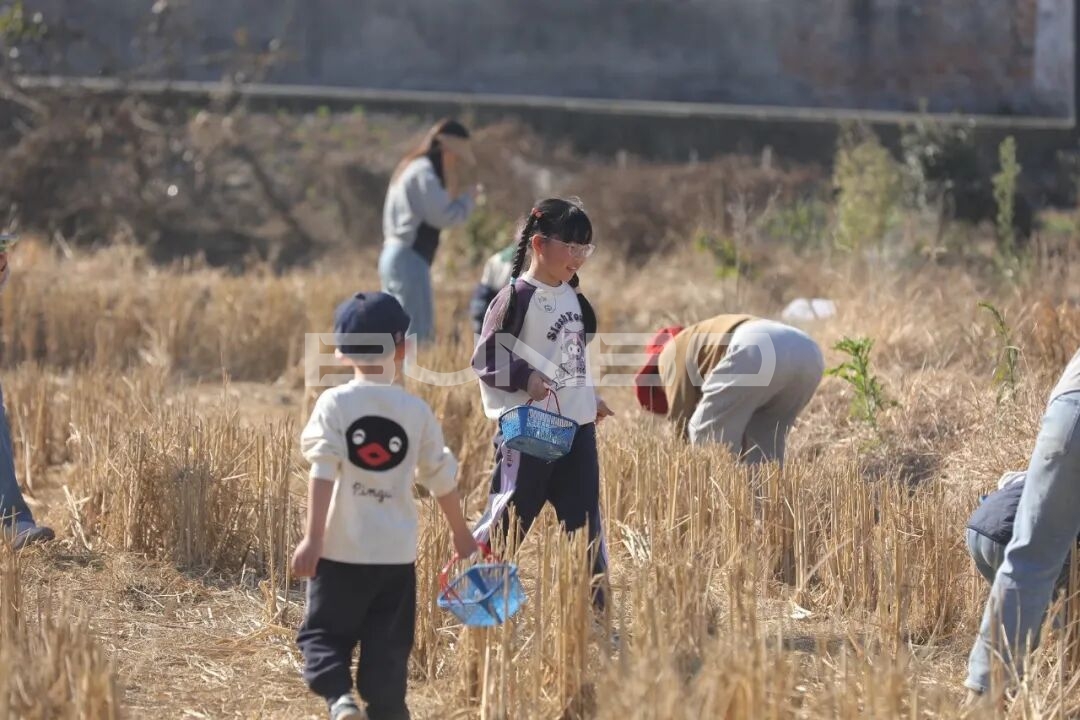 杭州农库草垛乐园