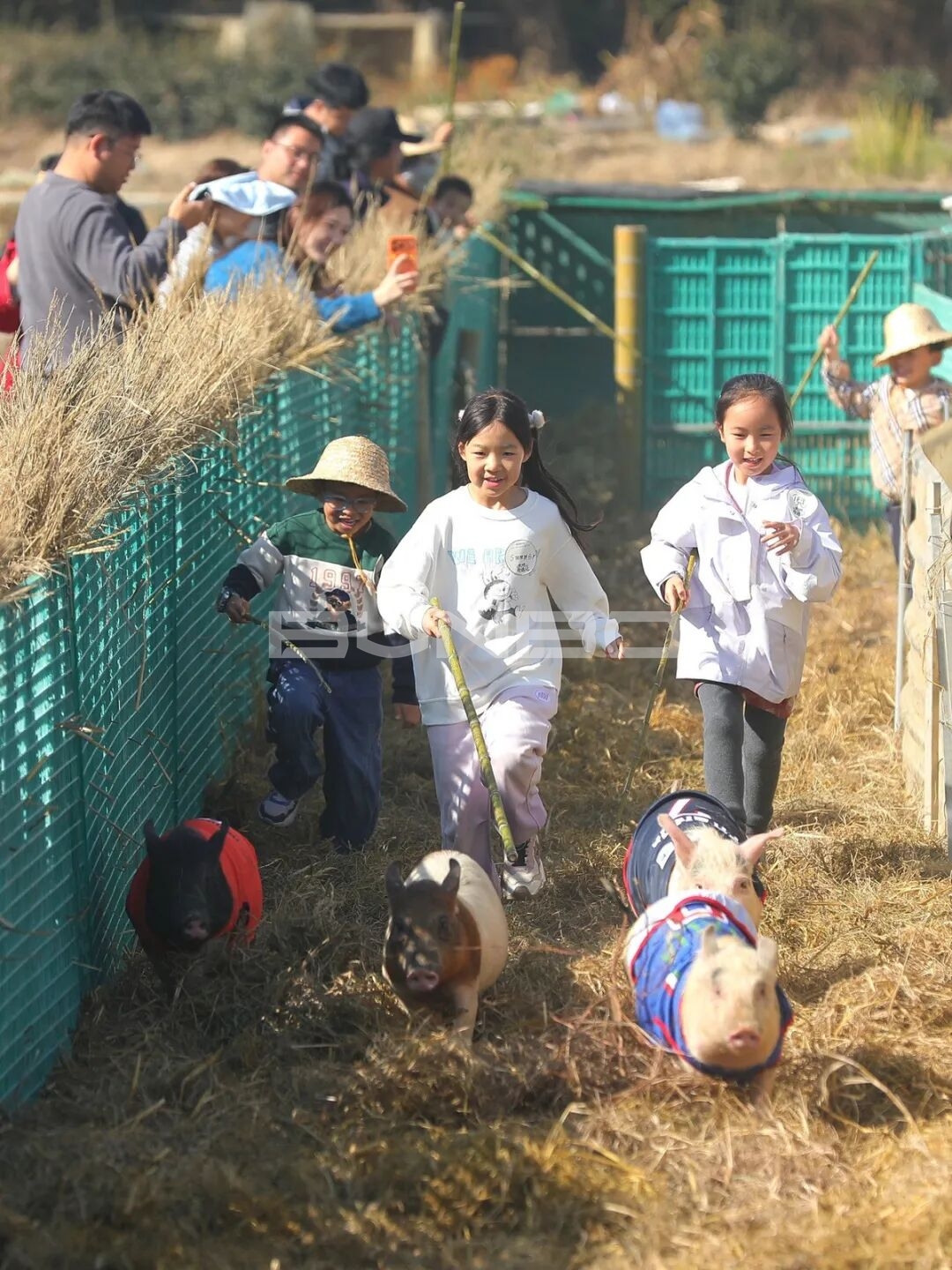 杭州农库草垛乐园