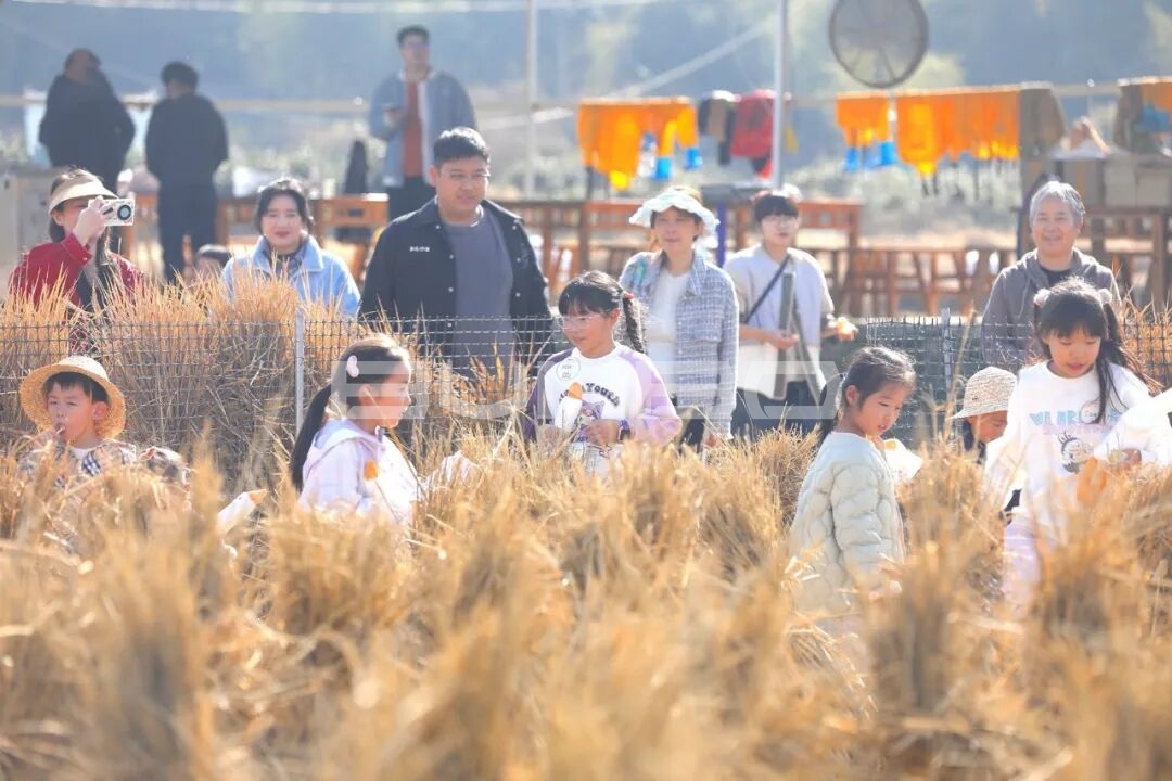 杭州农库草垛乐园